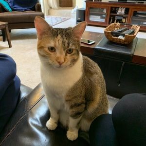 Meet your Posher, Alicia